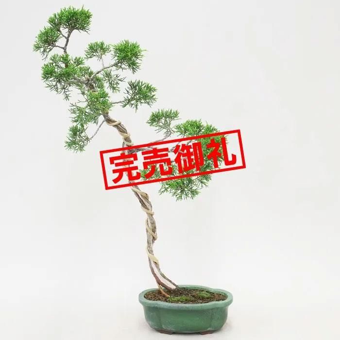 169435821.jpg?cmsp_timestamp=