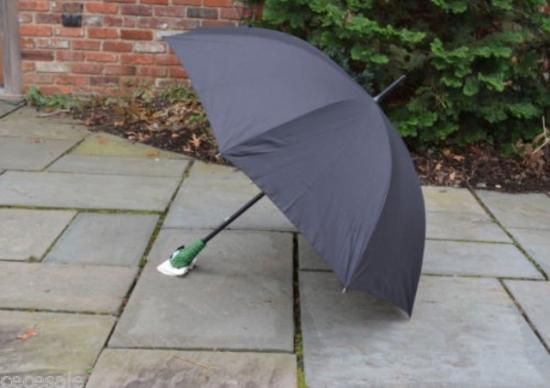 ディズニー メリーポピンズ 傘 アンブレラ パロット オウム ヘッド