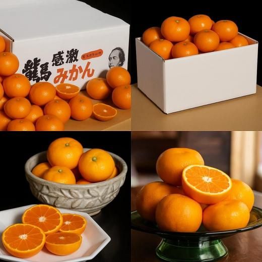 坂本龍馬が涙した 龍馬感激みかん 3kg箱(24〜36個) | 当店大人気みかん