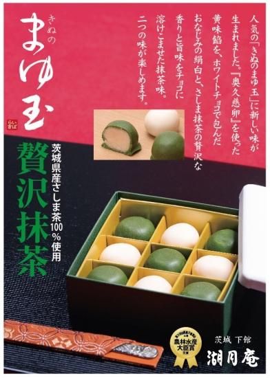 きぬのまゆ玉贅沢抹茶 9個詰【JR東日本おみやげグランプリ特別賞
