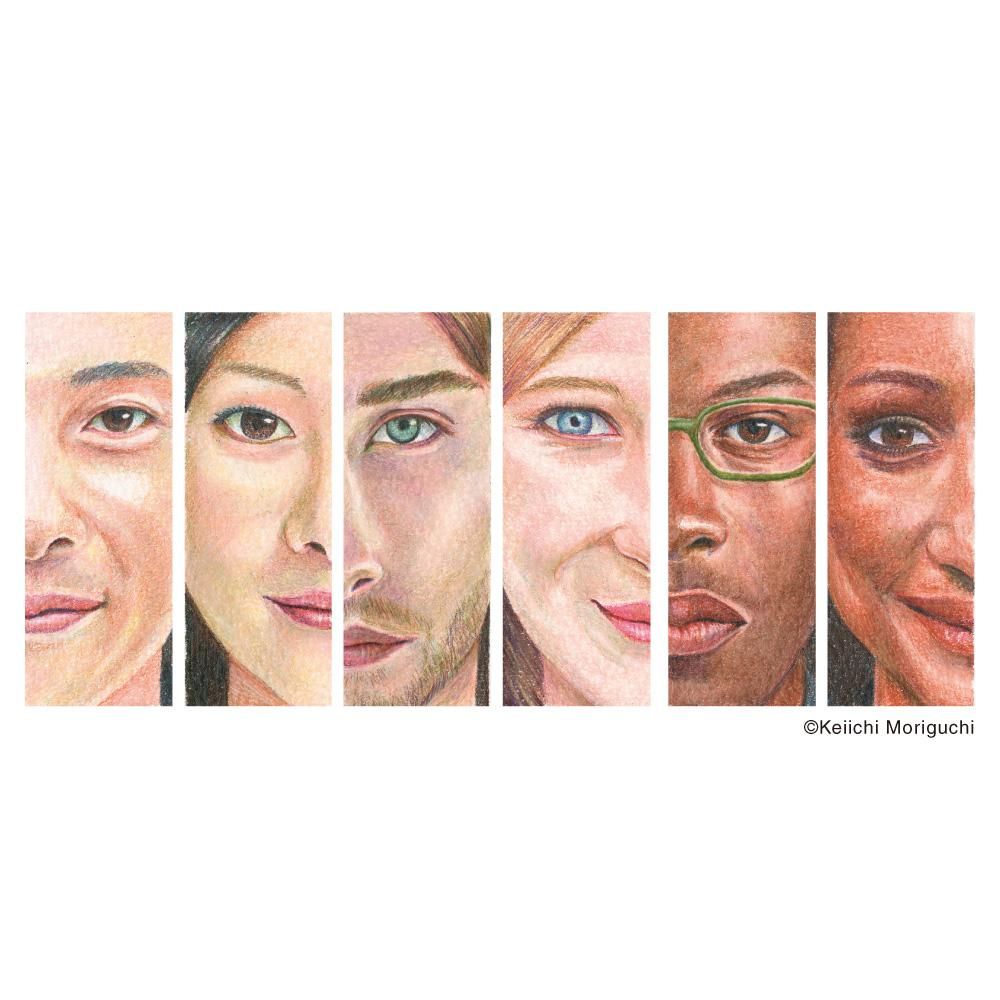 アーチスト色鉛筆 OP904 ポートレートカラー 12色セット