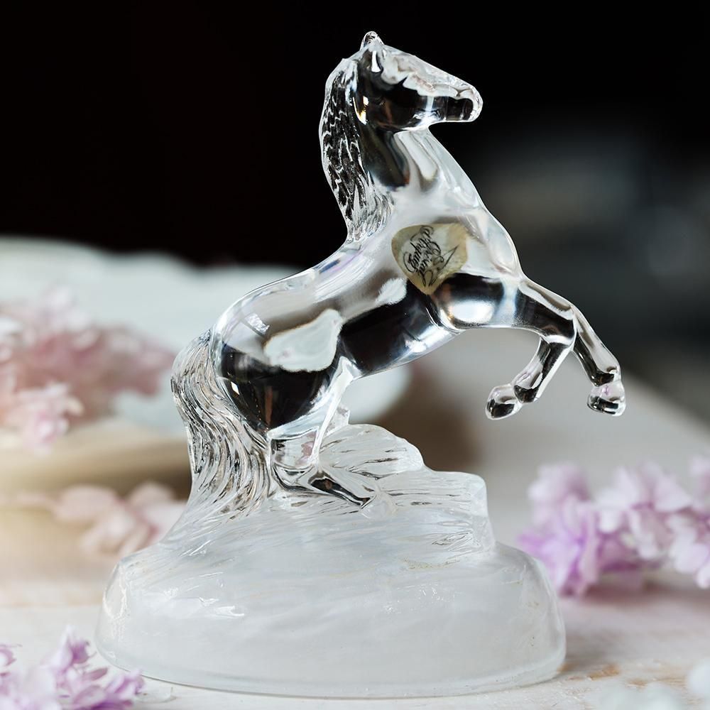 47992424_o2.jpg?cmsp_timestamp