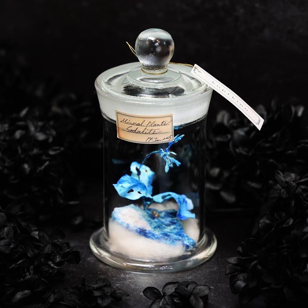 空想植物標本・ソーダライト（標本瓶M） - 海福雑貨通販部