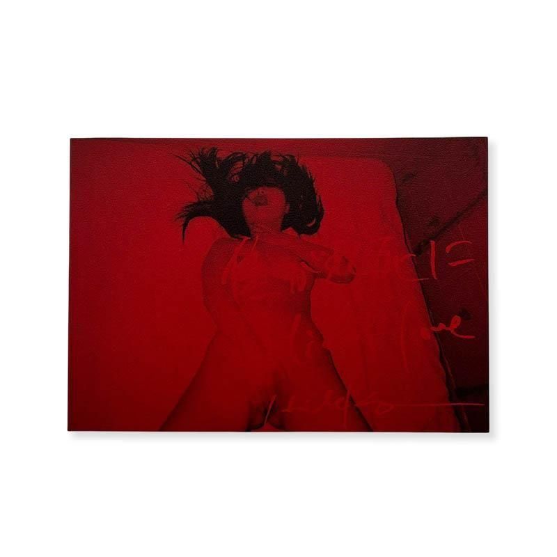 Hideka Tonomura: die of love焦がれ死に 殿村任香 - 古本買取 2手舎