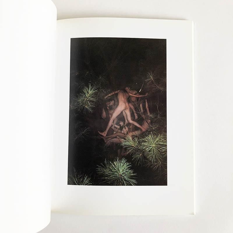 Ryan McGinley published by Flasher Factoryライアン・マッギンレー