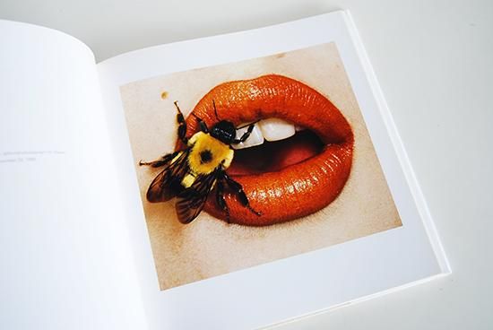 STILL LIFE US Edition Irving Penn photographs 1938-2000