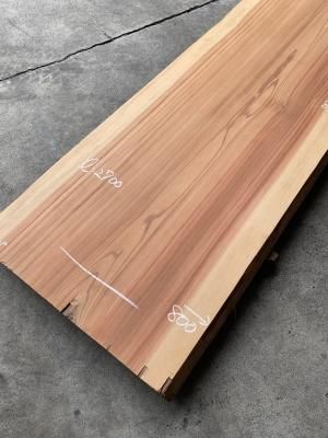 杉カウンター用材 | やわらかな杉材 - 一枚板専門店「木の店木楽」ー