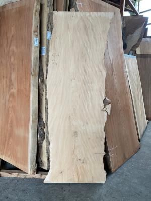 コウヤマキ天板材 | 原木デスク用 - 一枚板専門店「木の店木楽」ー材木