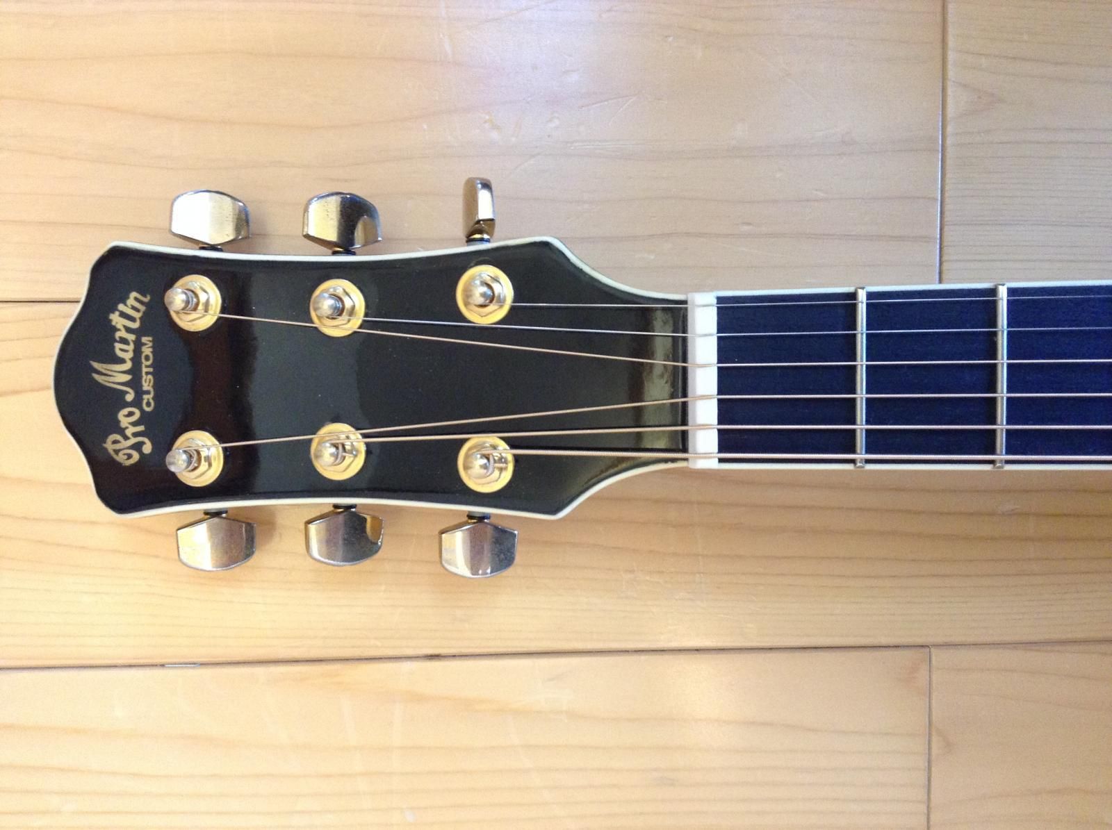 Pro Martin/プロマーチン EA-500W エレアコ 黒 - C・I・K Custom