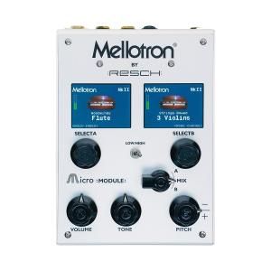 Joranalogue | Route 4 | ユーロラック・モジュラーシンセ | Five G