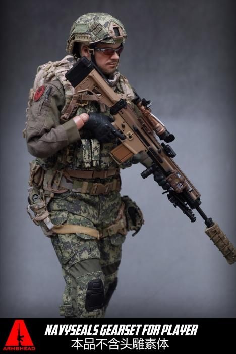 1/6 ARMSHHEAD AOR2 AES001 ネイビーシールズ 用装備 - 1/6フィギュア