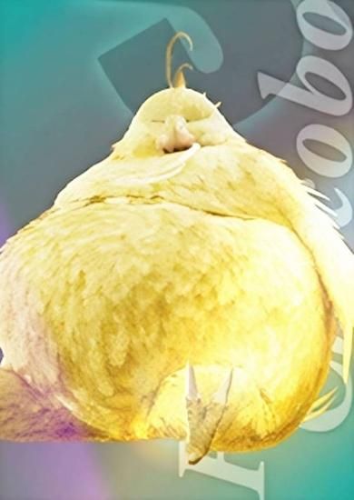 1-043 デブチョコボ/リメイク版 (プレミアムカード) 】 ファイナル