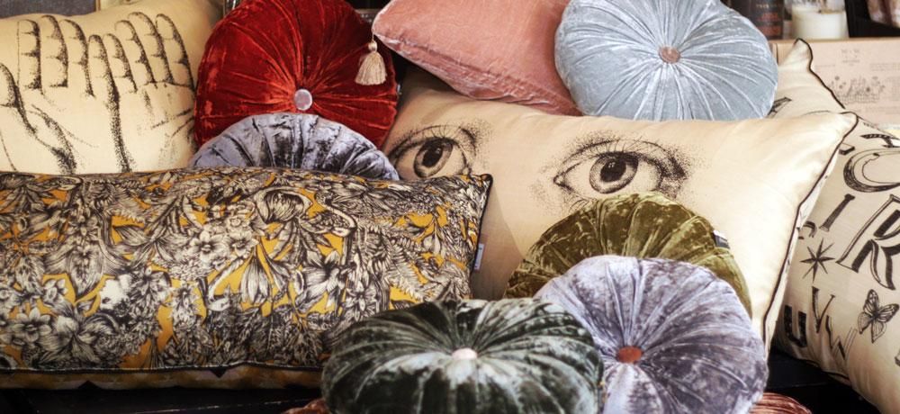 Le Monde Sauvage - maison-de-lalan