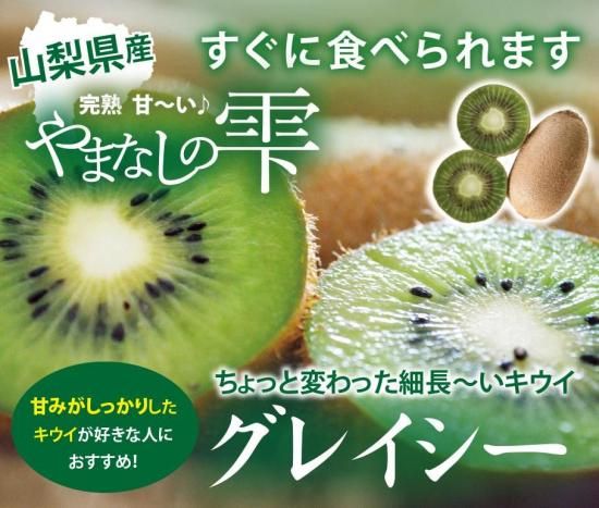 かわいい細長 追熟キウイフルーツ グレイシー【やまなしの雫】 6パック