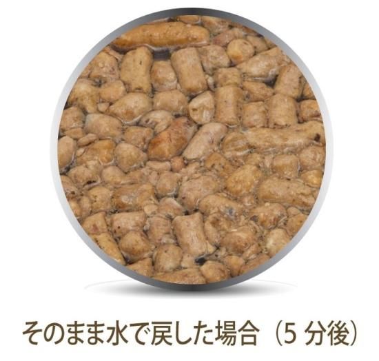 Feline Natural｜FLラム＆キングサーモン・フィースト - NECOT COFFEE