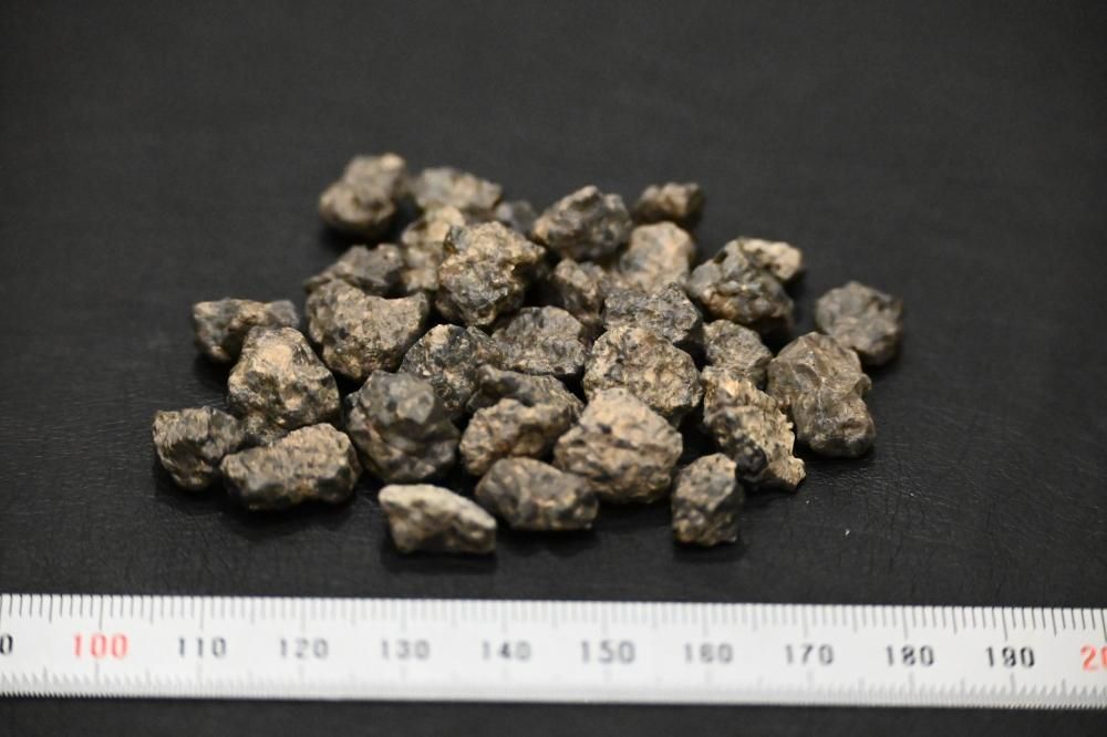 ベシャール003 Bechar003