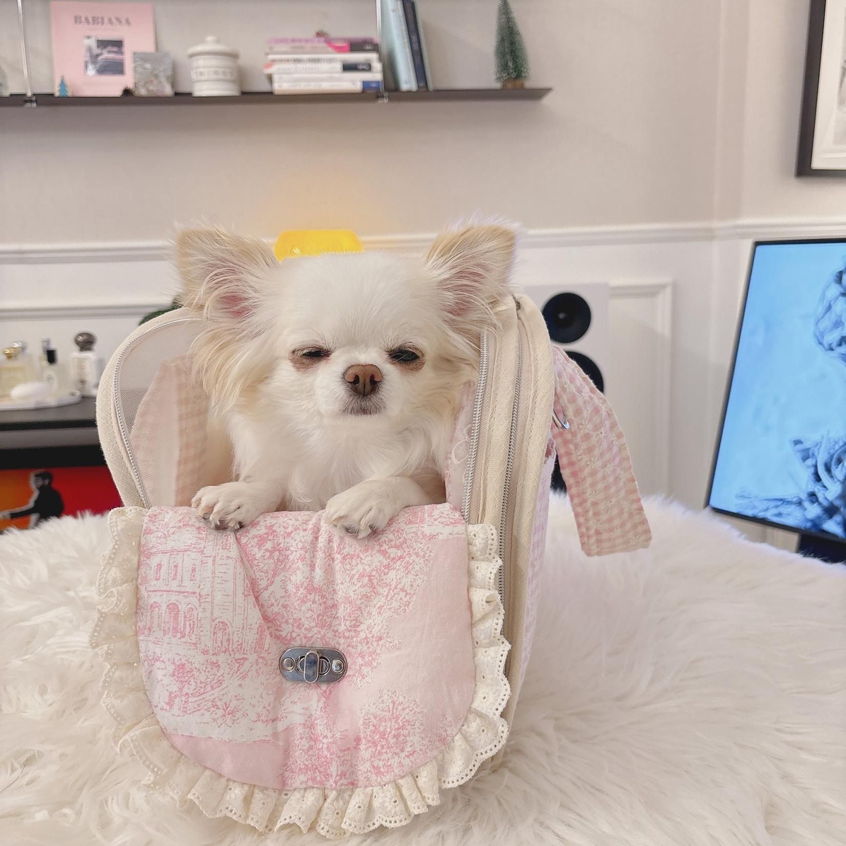 INNER TOPPER [Marang PINK] - BABIANA JAPAN