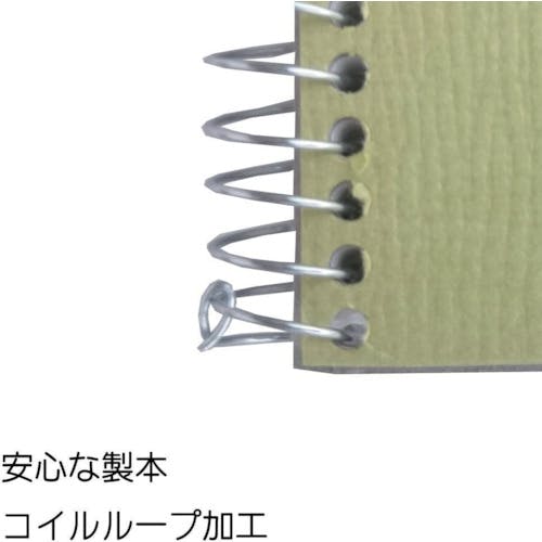 CAINZ-DASH】マルマン F8 スケッチブック オリーブシリーズ S88