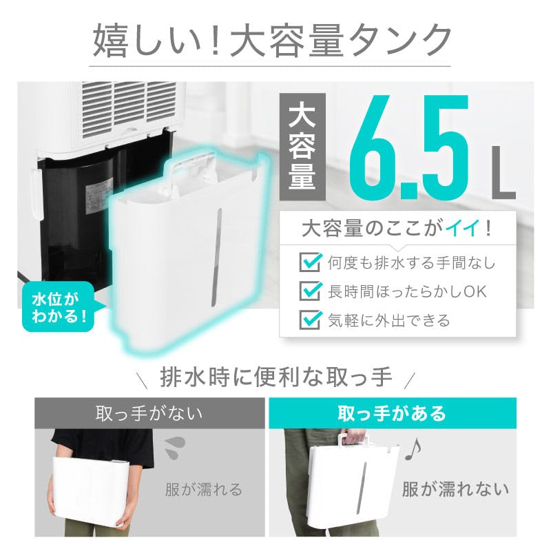 ライシン 除湿機 ホワイト 最大除湿量22L/日 タンク容量6.5L