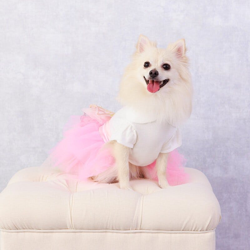 ONEKOSAMA OINUSAMA チュチュスカート/ピンク/M-L 小型犬 洗える