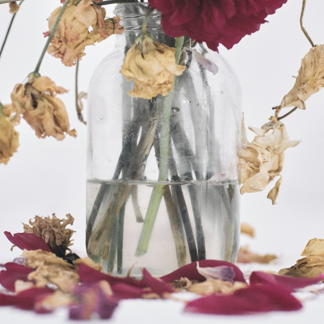 00000003.2926338.1761878114.