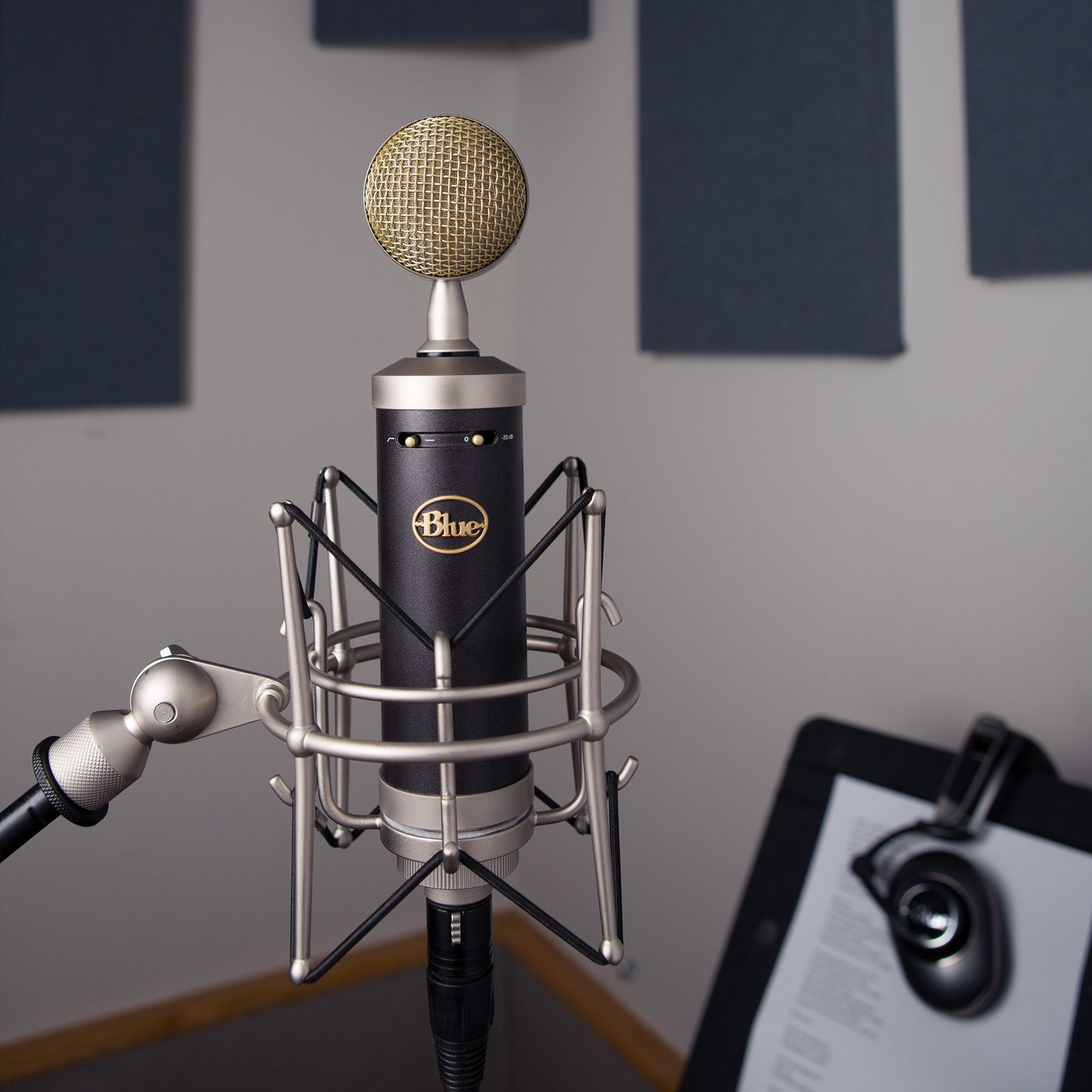 レコーディング、ライブ配信でも大人気の BlueMicrophones の取り扱い