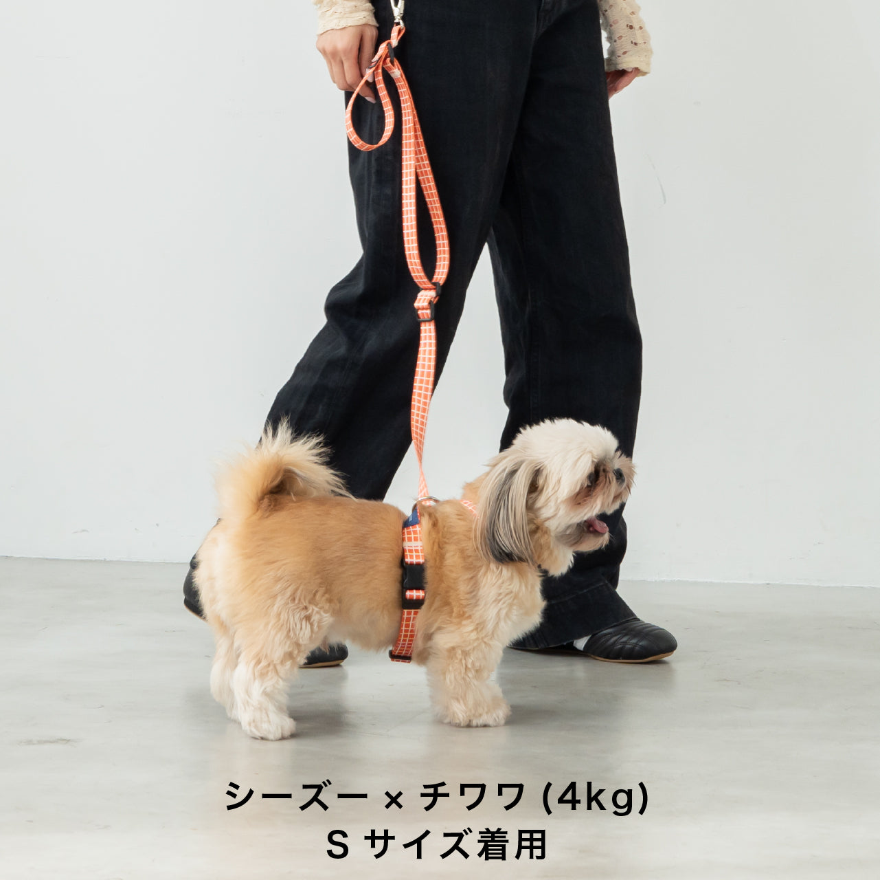 8の字ハーネス Windowcheck オレンジ×アイボリー – inuno.