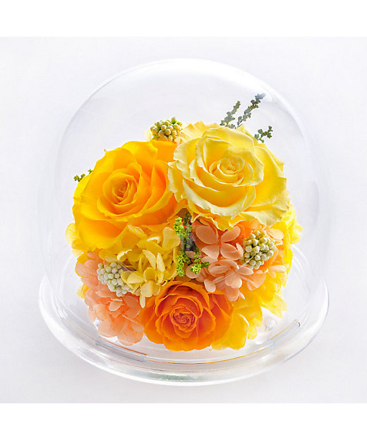 ガラスドームL | Belles Fleurs /ベル・フルール | 三越伊勢丹