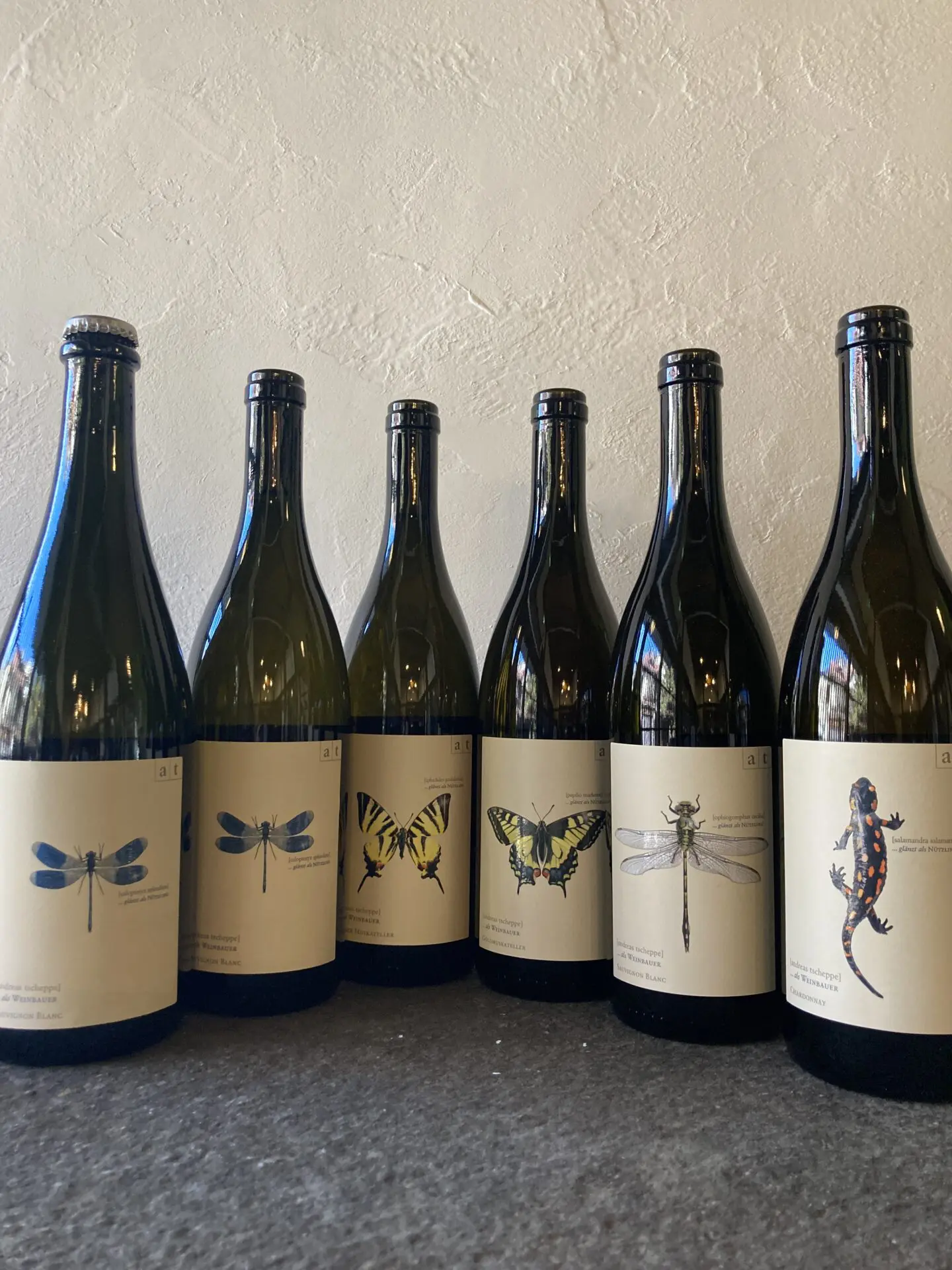 アンドレアス・チェッペ 6本セット［Andreas Tscheppe 6本セット