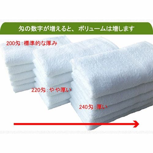 240匁国産泉州ソフト白タオル【総パイル】：120枚組|業務用タオル専門