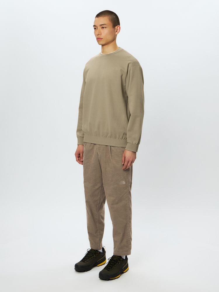 公式・アウトレット】ラリーオンロッククルー（メンズ）｜ザ・ノース