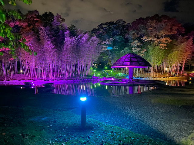 10月21日（土）～10月29日(日)七北田公園で「IZUMINATION in