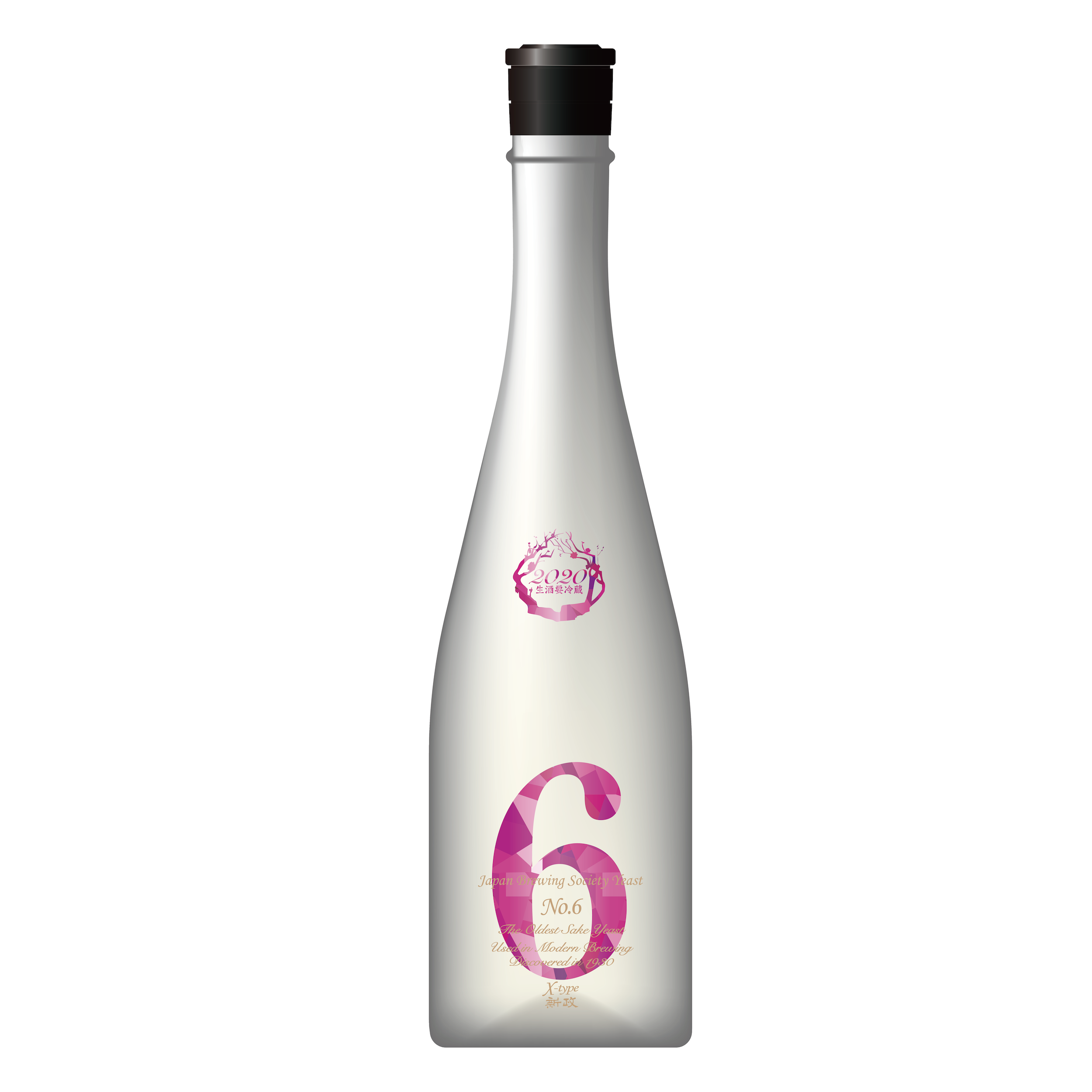 新政酒造 No.6 X-type 2020 -JSP