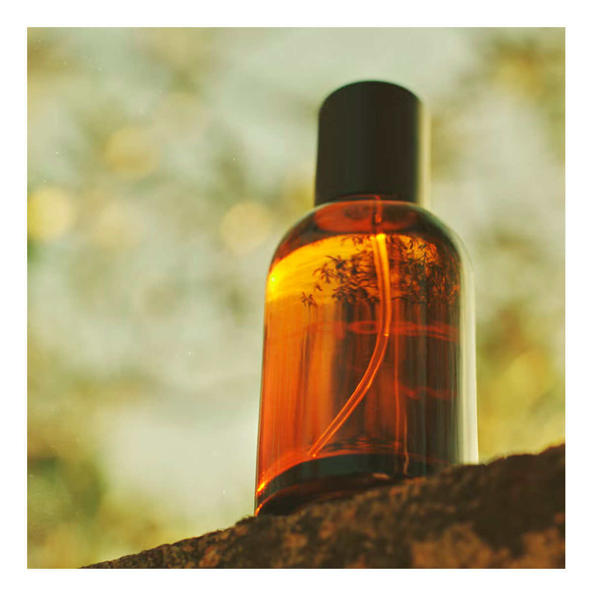 Aesop Virere | jcApotecari