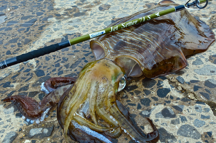 JetSlow×TULALA JetSetter 71S「冒険用品」