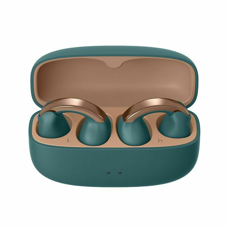 2週間お試し可能】ワイヤレスイヤホン HA-NP1T | JVCケンウッドストア