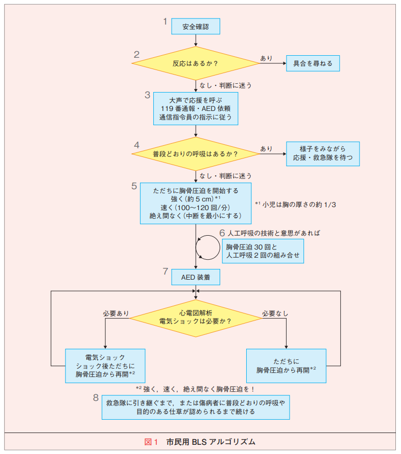 救急法｜一社）日本救急蘇生普及協会