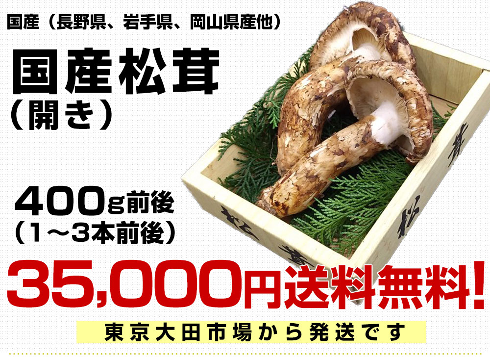 国産松茸（開き）400g前後（1本から3本前後）送料無料 クール便