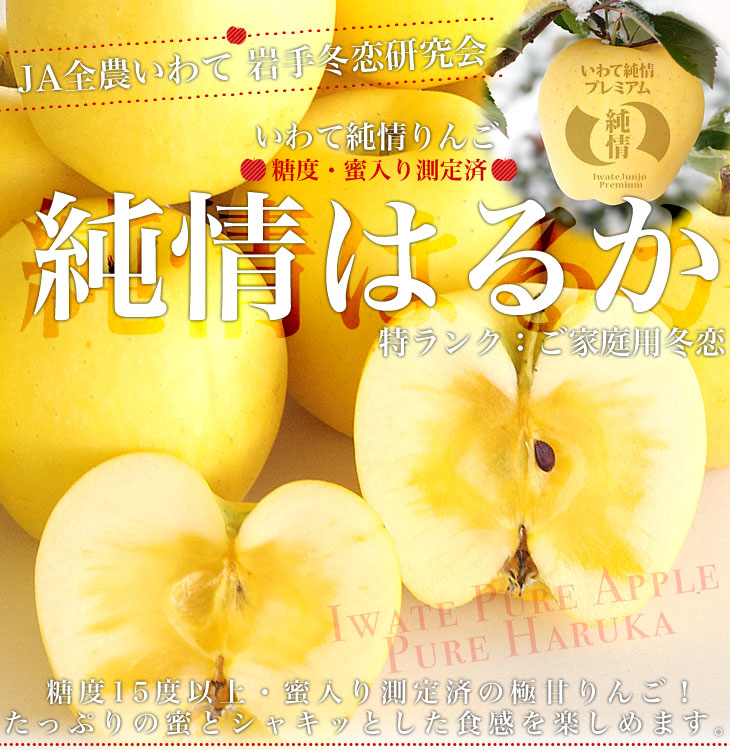 岩手県より産地直送 JA全農いわて いわて純情りんご 純情はるか 5キロ