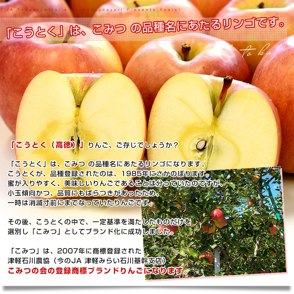 青森産 JA津軽みらい こうとく（高徳） 約1.8キロ (8玉から9玉) 送料