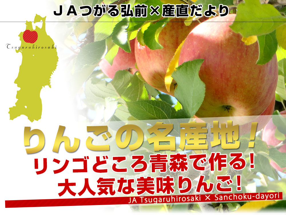 青森県産 JAつがる弘前 サンふじ 約3キロ (12玉) 送料無料 りんご