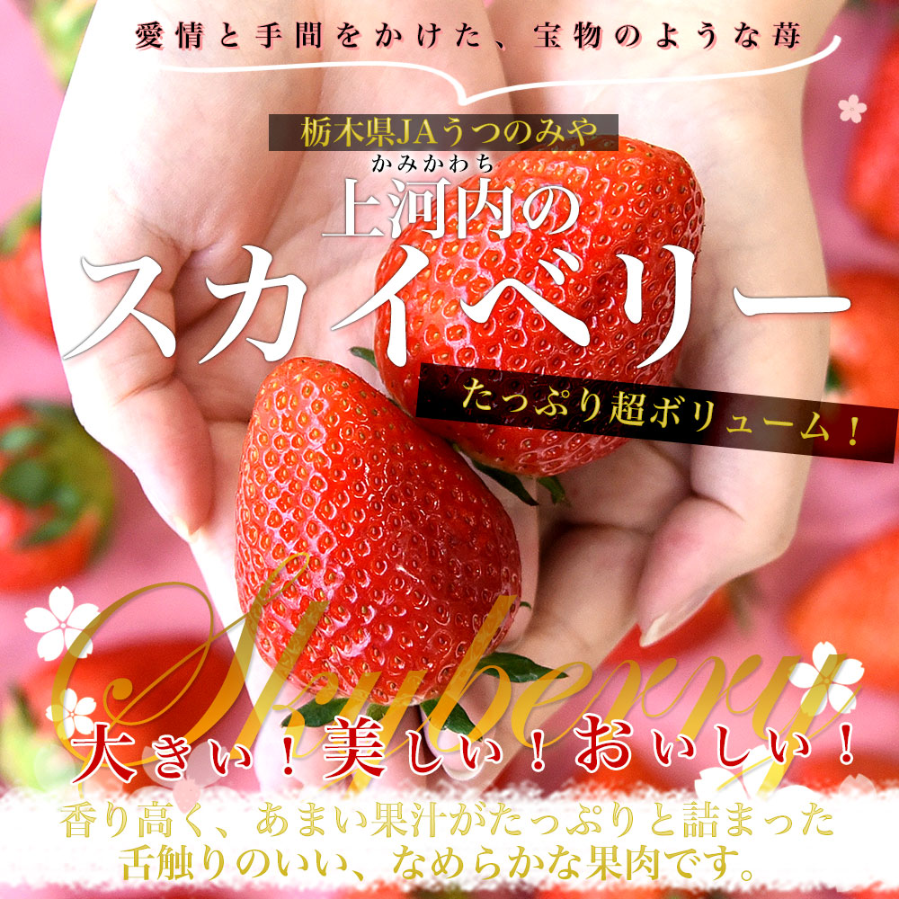 栃木県産 JAうつのみや 超盛り「上河内のスカイベリー」たっぷり2箱