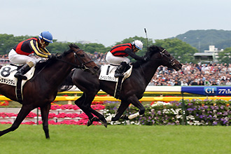 JRAホームページ｜データファイル｜競走成績データ