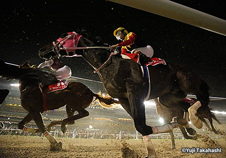 レース結果・回顧：2017年ドバイワールドカップ 海外競馬発売 JRA
