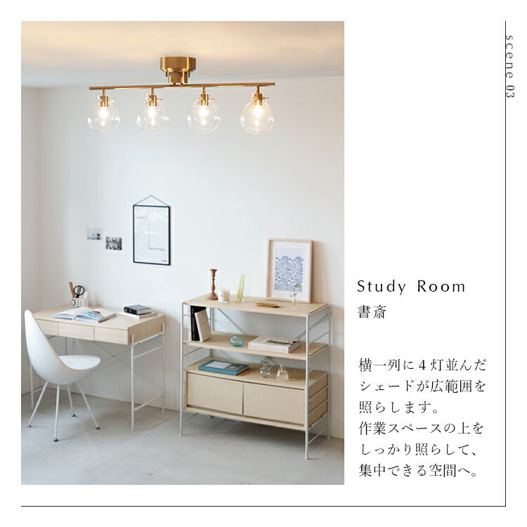 schon シーリングライト 4灯 feige ファイゲ シェーン インテリア照明