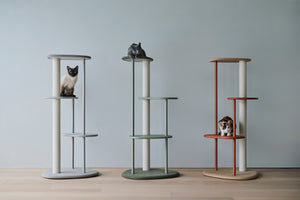 2024年限定モデル – KARIMOKU CAT