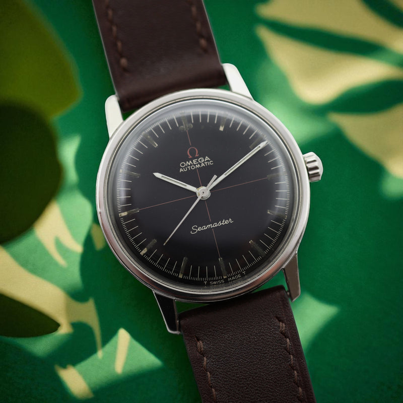 1960s Omega Seamaster 'Technic' (Ref. 165.002)