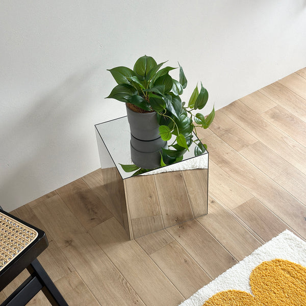 IMG_2605_grande.jpg?v=1751962592