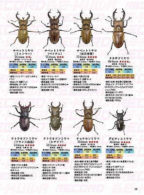 ビークワ94号（BE・KUWA） クワガタ飼育レコード大特集!!