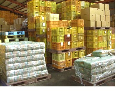 砂埋め霊芝材(産卵木)の販売